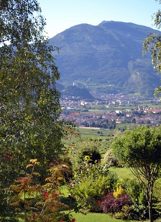 Foto B&B La Betulla