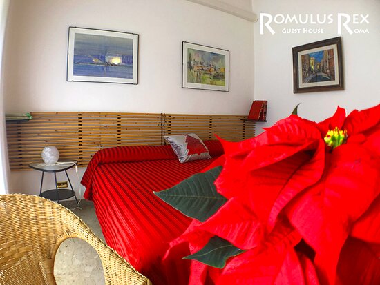 Foto Romulus Rex Guest House