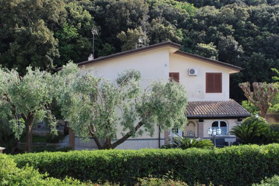 Foto B&B Cavalieri