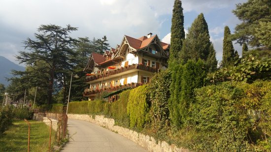 Foto Hotel Angelica