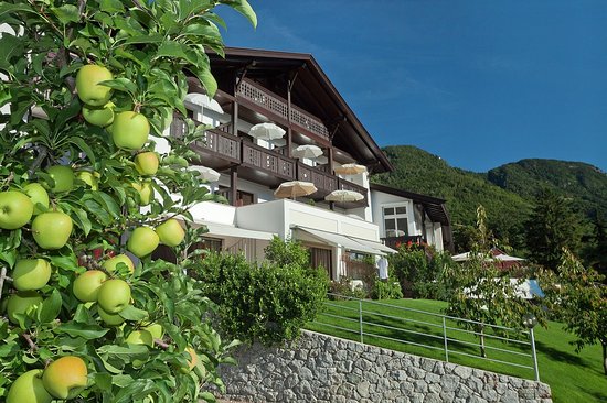 Foto Pension & Apartments Riedingerhof