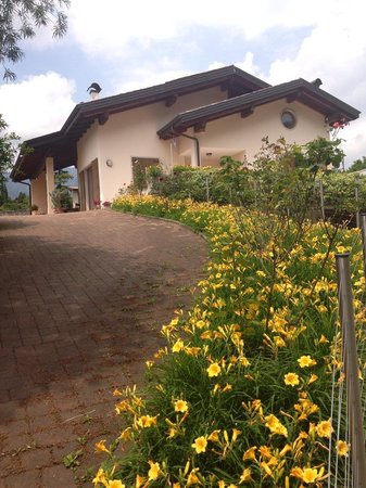 Foto Alle Vigne Bed and Breakfast