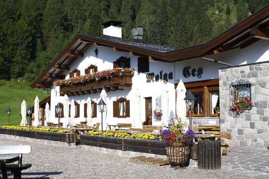 Foto Malga Ces Hotel Restaurant