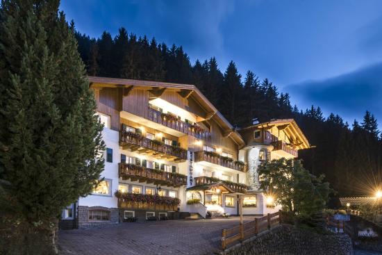Foto Hotel La Pineta