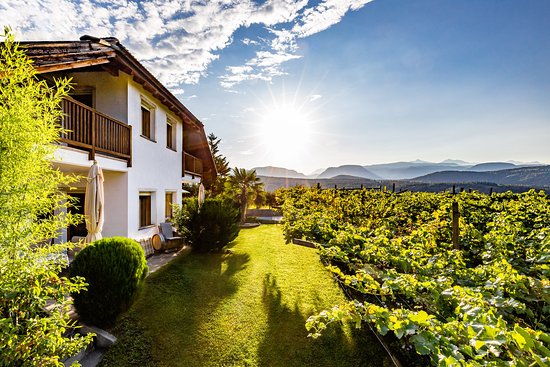 Foto Weingut Praelatenhof