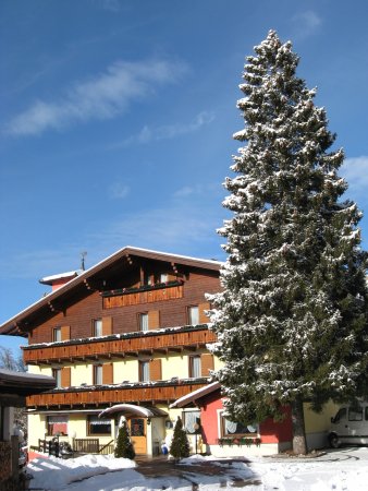 Foto Albergo Villa Cristina