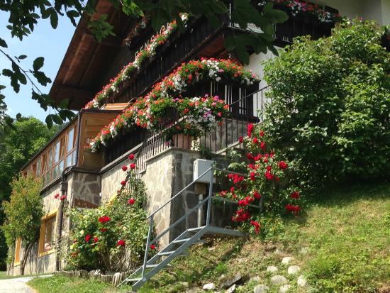 Foto Pension Alpenblick
