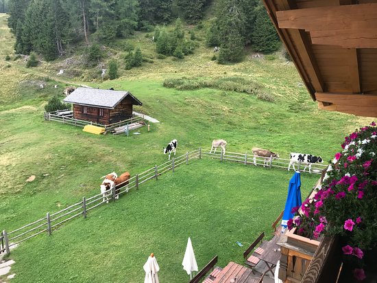 Foto Gasthaus Furlhutte