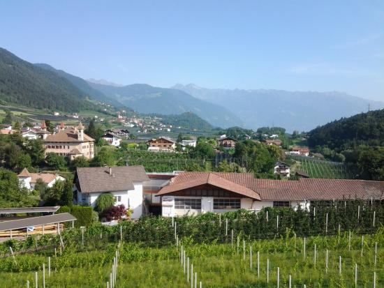 Foto Pension Rebgut