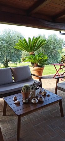 Foto Agriturismo Casa Degli Ulivi