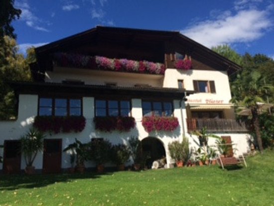 Foto Pension Restaurant Gasthof Wieser