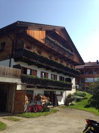 Foto Galler am Berg