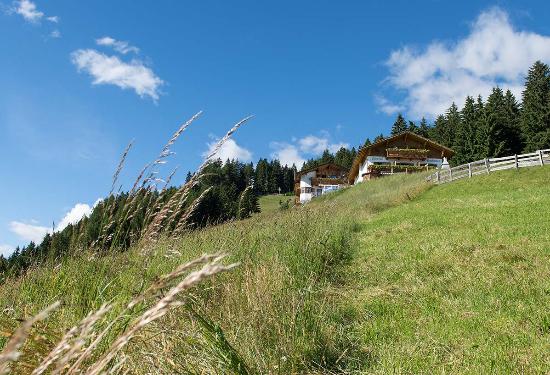 Foto Gasthof Hochwies