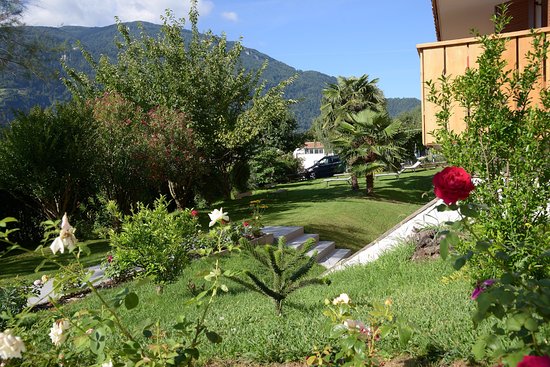 Foto Hotel Thalguter
