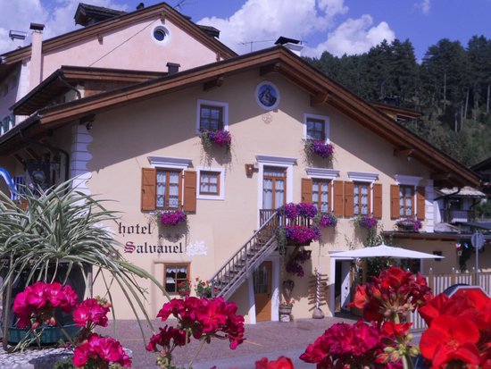 Foto Hotel Salvanel