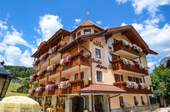 Foto Hotel Stella Alpina