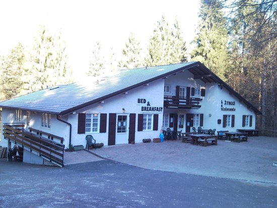 Foto B&B Tre Faggi