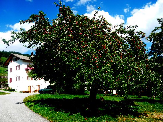 Foto Hotel Gsoihof