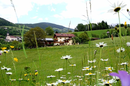 Foto Ganoihof