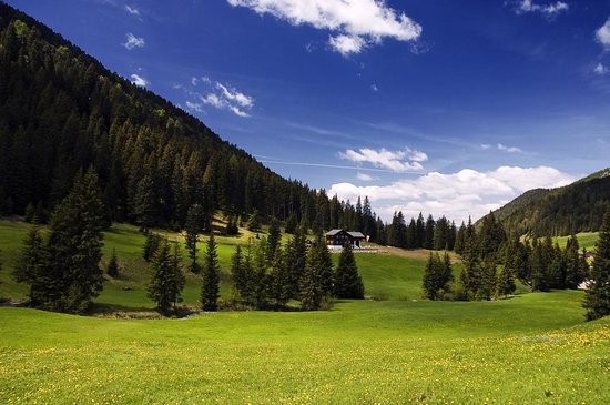 Foto Zanser Alm
