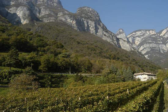 Foto B&B da Mariangela c/o Vecchio Mulino alle RIME