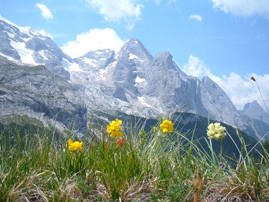 Foto Maison Pellegrin