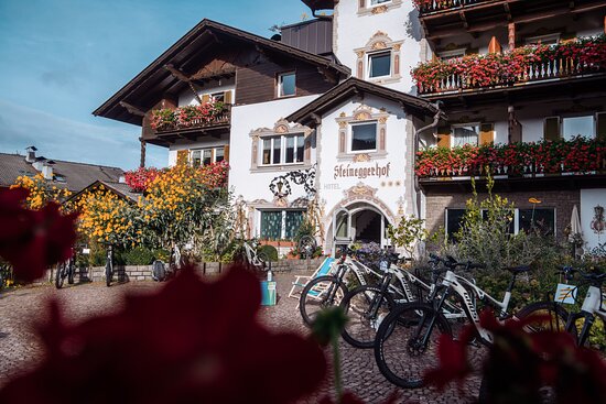 Foto Hotel Steineggerhof