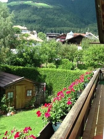 Foto Pension Olga