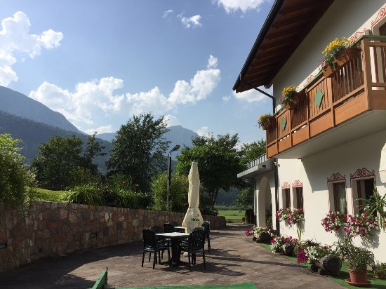 Foto Hotel La Pineta