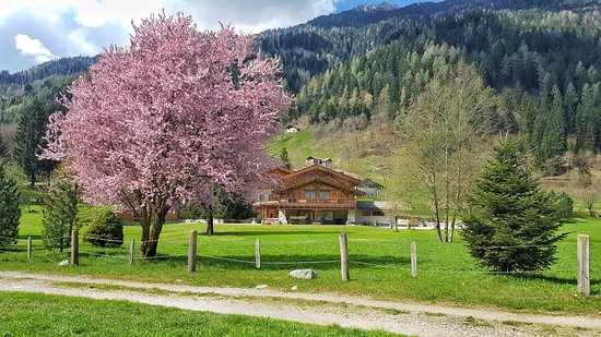 Foto Maso del Brenta Chalet Alpino
