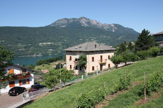 Foto Hotel Da Remo
