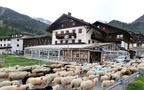 Foto Piccolo Hotel Gurschler